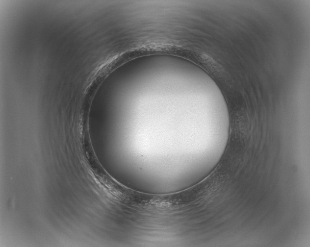 X0000061720640200512161556