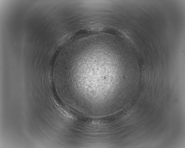 X0000061720641200512161556