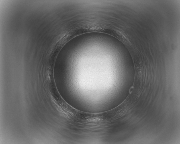 X0000061720643200512161556