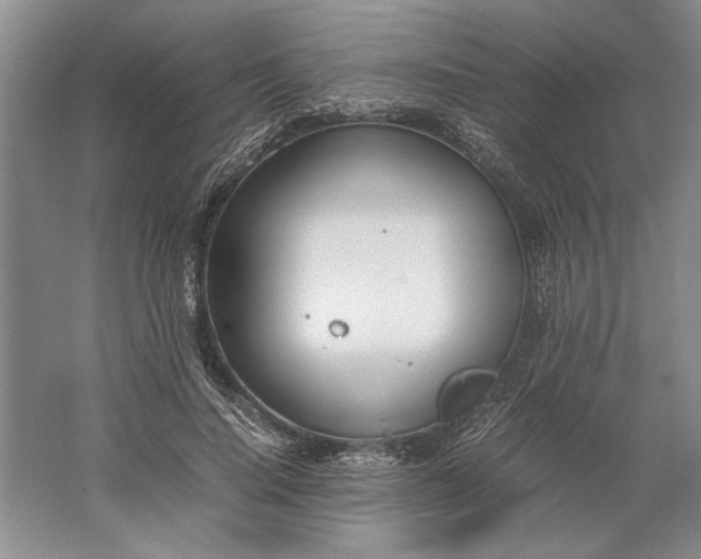 X0000061720644200512161556