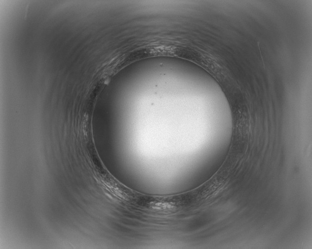 X0000061720649200512161556