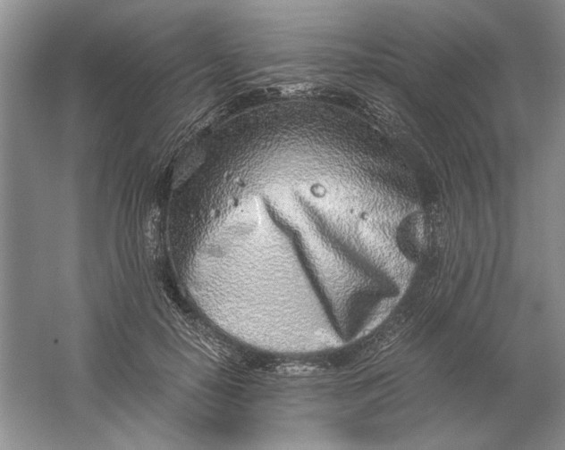 X0000061720650200512161556