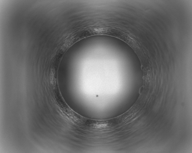 X0000061720651200512161556