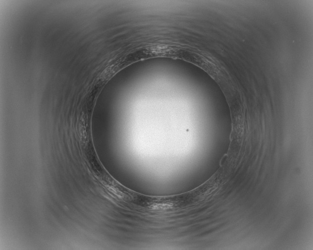 X0000061720653200512161556