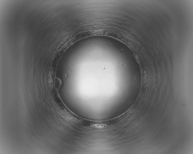 X0000061720654200512161556