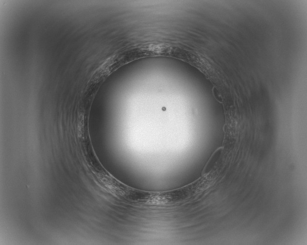 X0000061720656200512161556