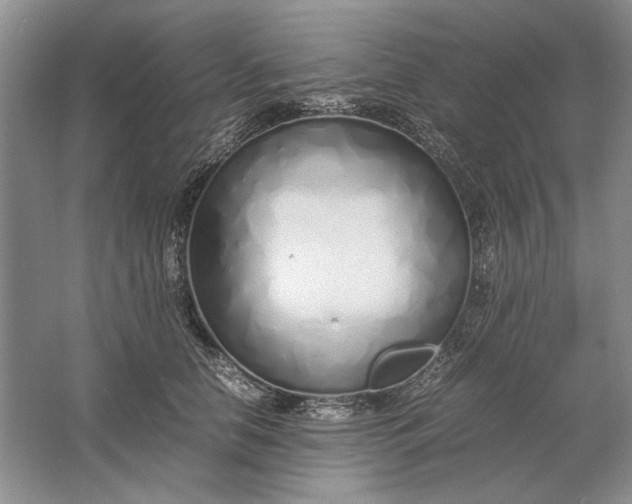 X0000061720658200512161556