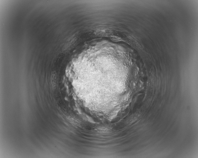 X0000061720659200512161556