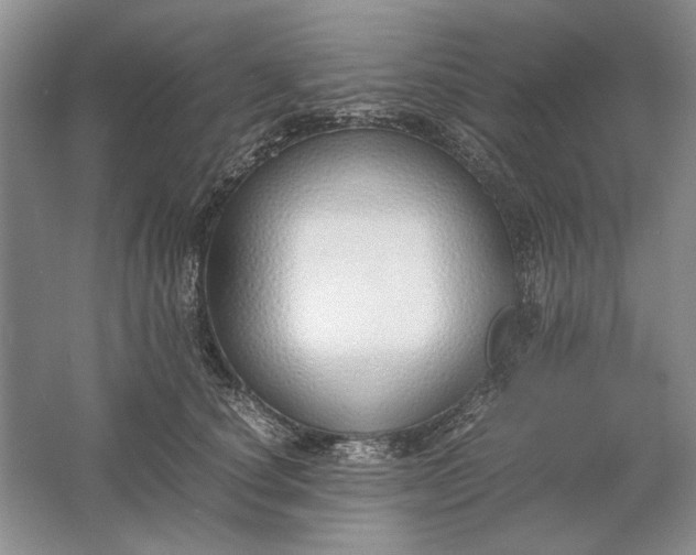 X0000061720660200512161556