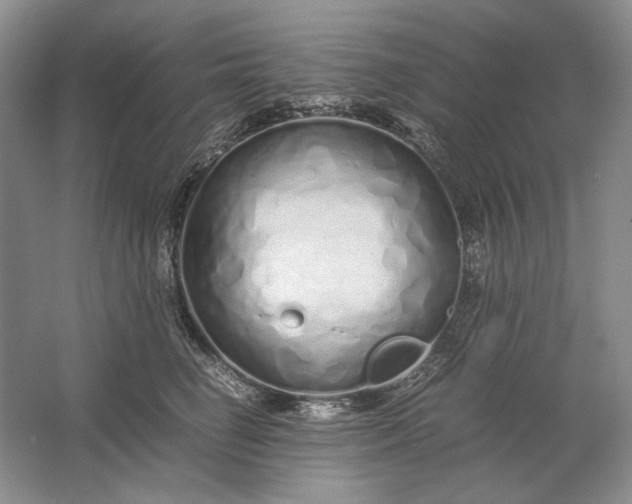 X0000061720662200512161556