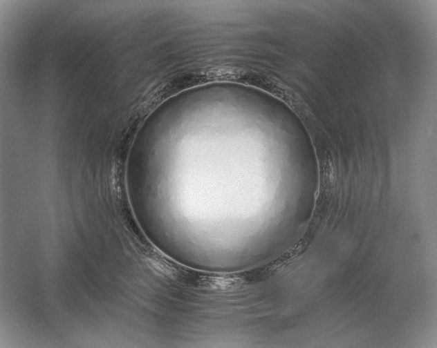 X0000061720663200512161556