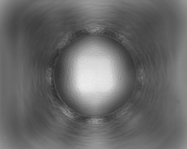 X0000061720664200512161556