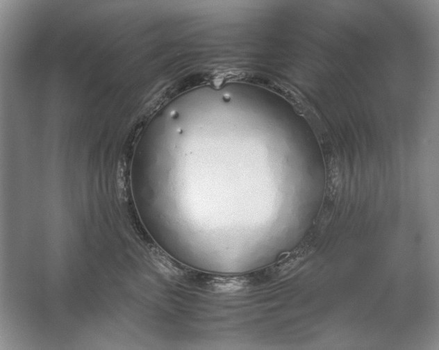 X0000061720667200512161557