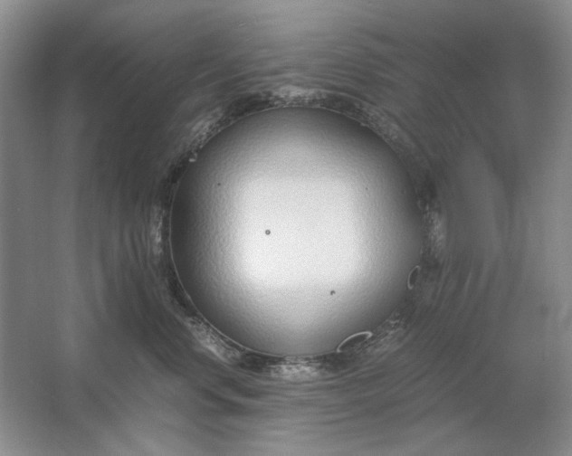 X0000061720668200512161557