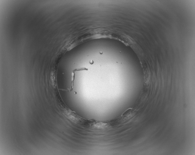 X0000061720669200512161557