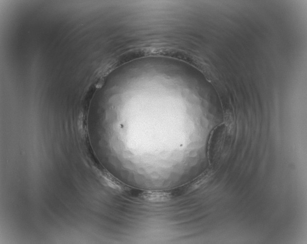 X0000061720670200512161557