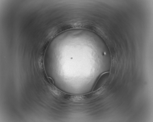 X0000061720671200512161557