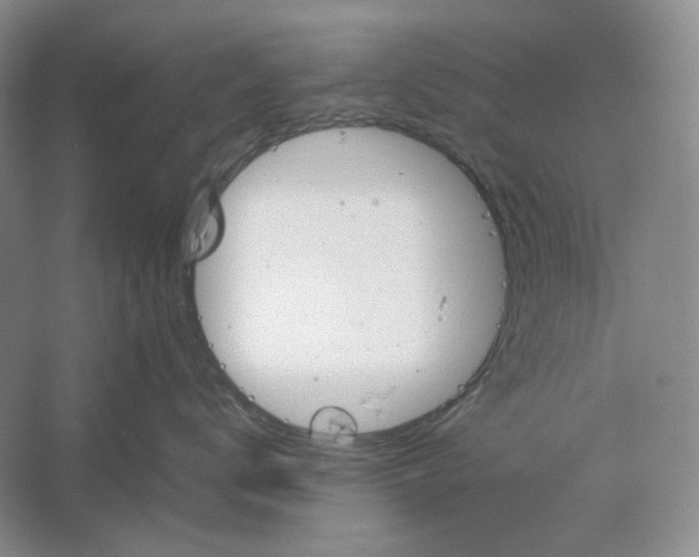 X0000061720672200512161557