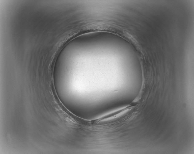 X0000061720673200512161556