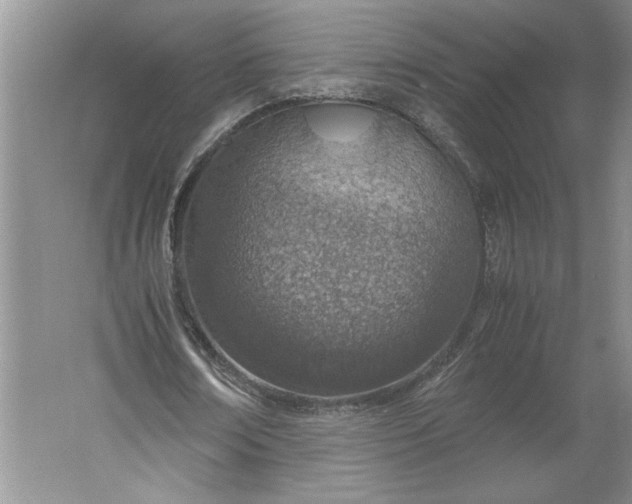 X0000061720674200512161556