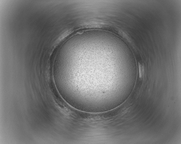 X0000061720675200512161556