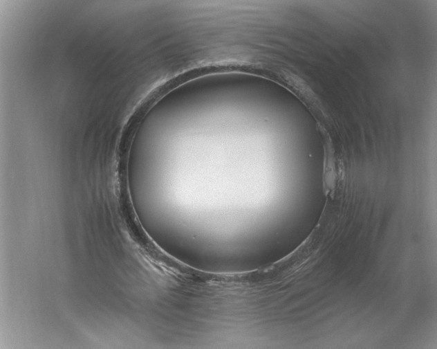 X0000061720676200512161556