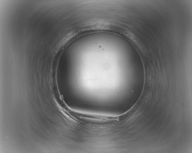 X0000061720677200512161556