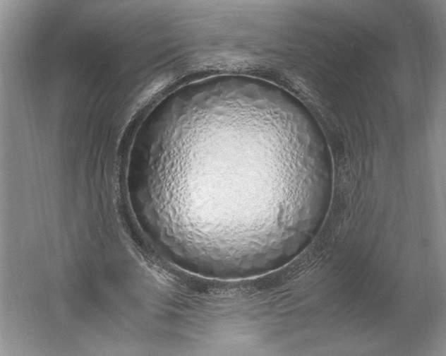 X0000061720679200512161556