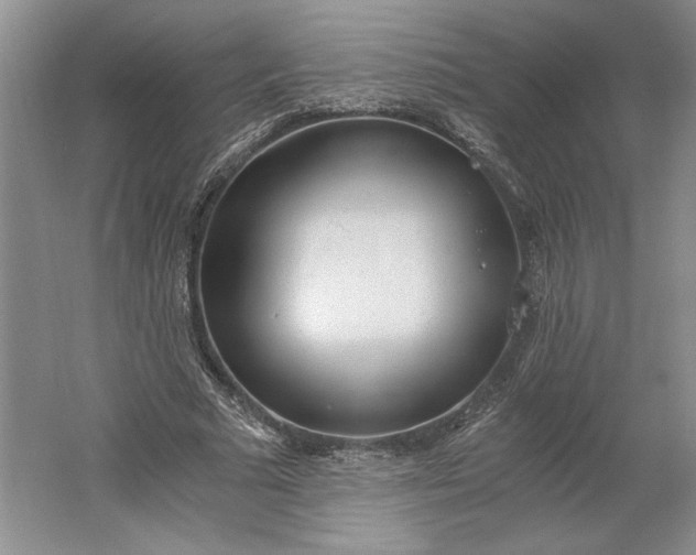 X0000061720681200512161556