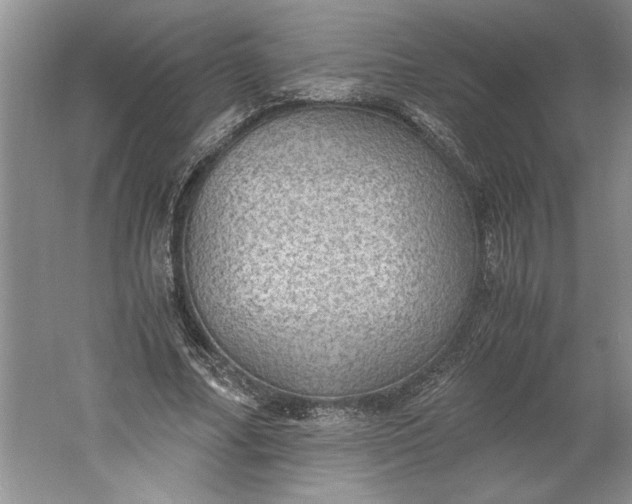 X0000061720682200512161556