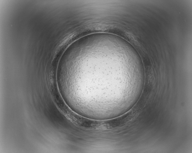 X0000061720683200512161556