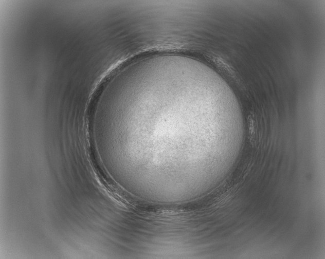 X0000061720684200512161556