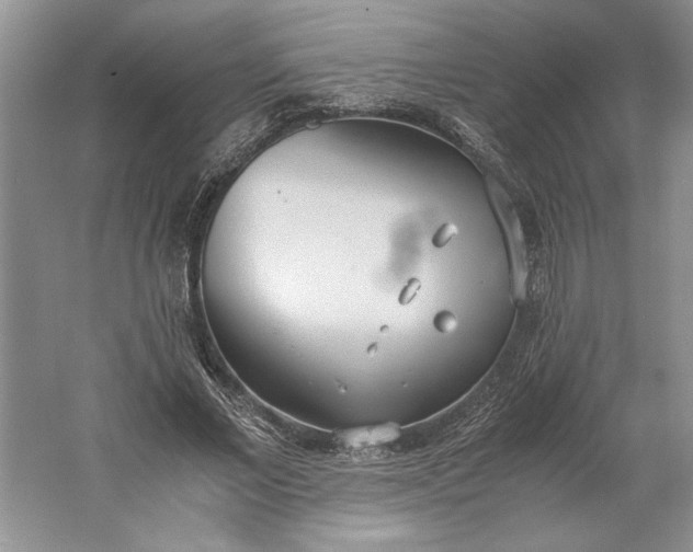 X0000061720685200512161556