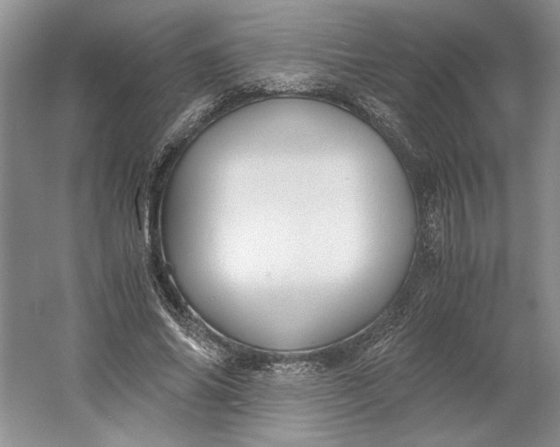 X0000061720686200512161556