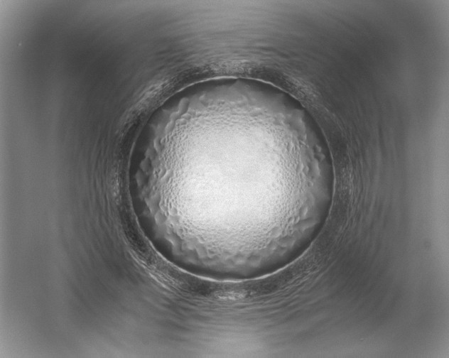 X0000061720687200512161556