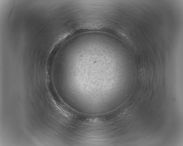 X0000061720688200512161556