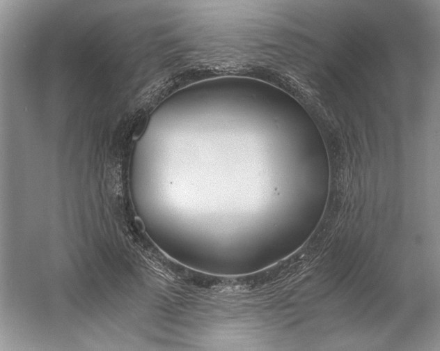 X0000061720689200512161556