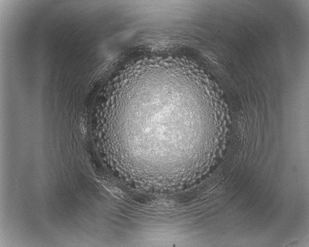 X0000061720691200512161555