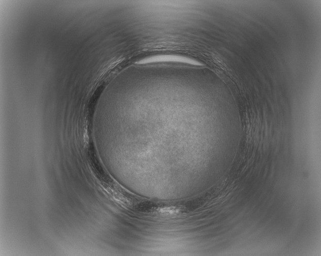 X0000061720692200512161555