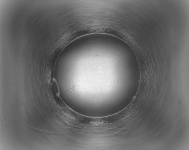 X0000061720693200512161555