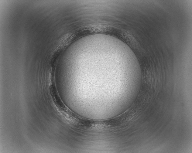 X0000061720694200512161555