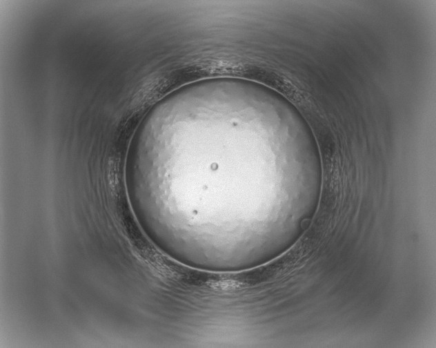 X0000061720695200512161555