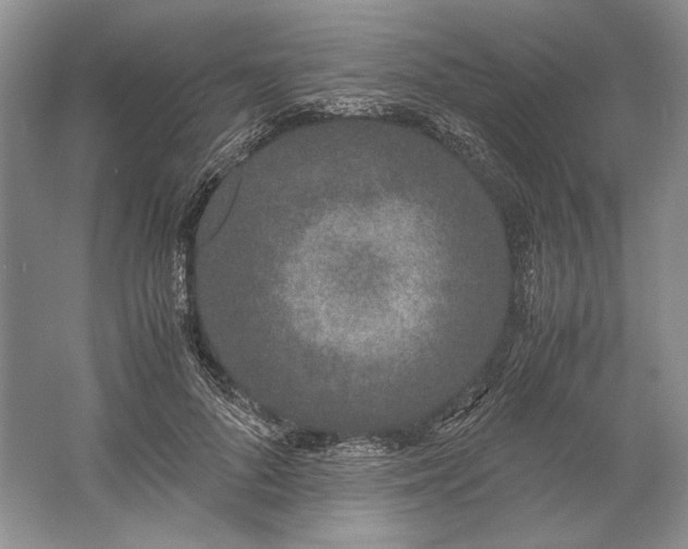 X0000061720696200512161555