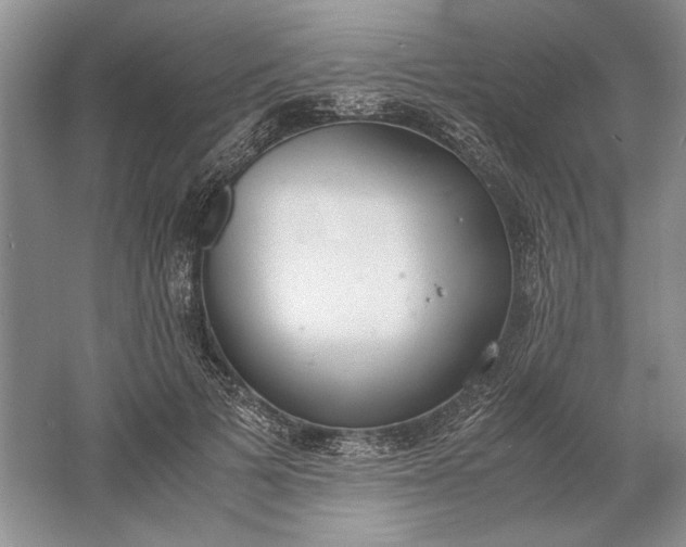 X0000061720697200512161555