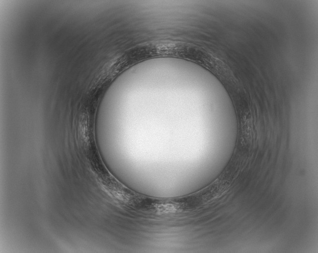 X0000061720698200512161555