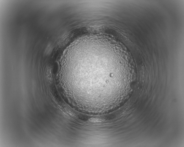 X0000061720699200512161555