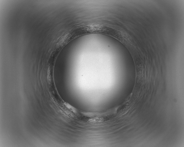 X0000061720700200512161555