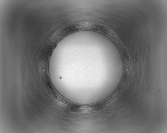 X0000061720701200512161555