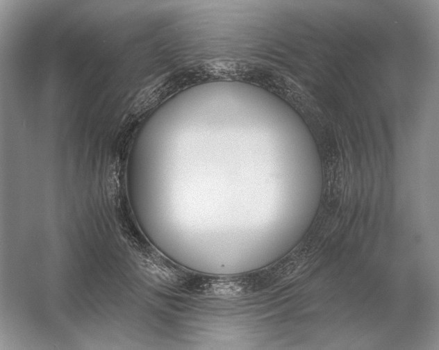 X0000061720702200512161555