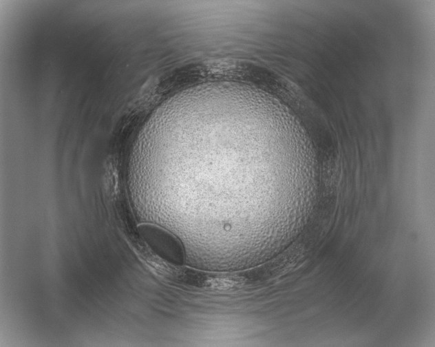 X0000061720703200512161555